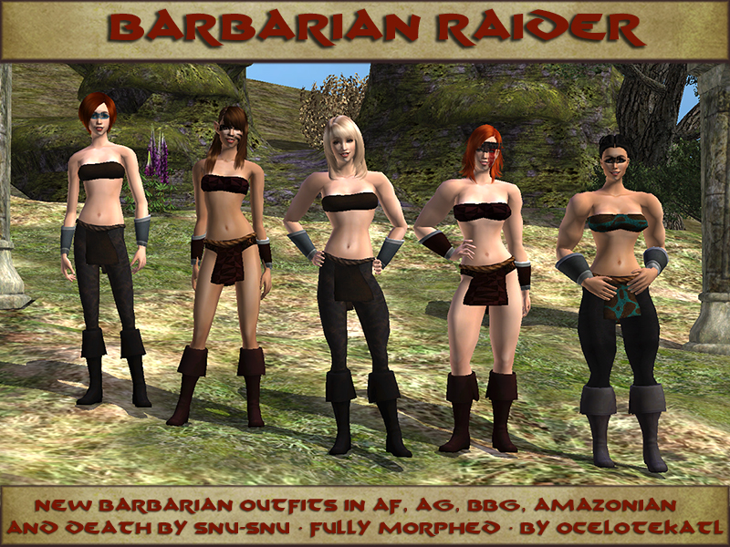 Barbarian Raider Title Card